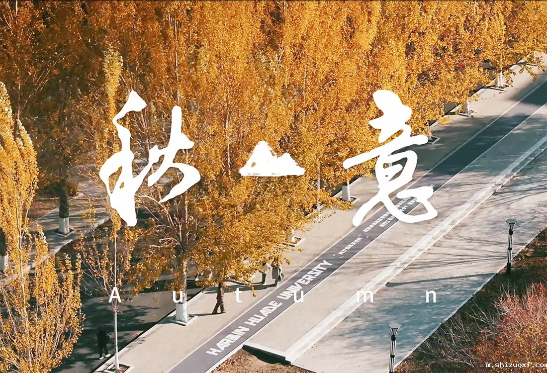 九游会J9.(中国)官方网站秋日限定浪漫